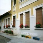 DEVESI
