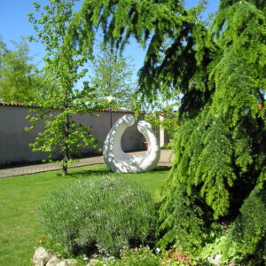 Semi di speranza…