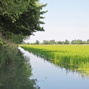 Tempo del Creato