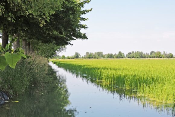 Tempo del Creato